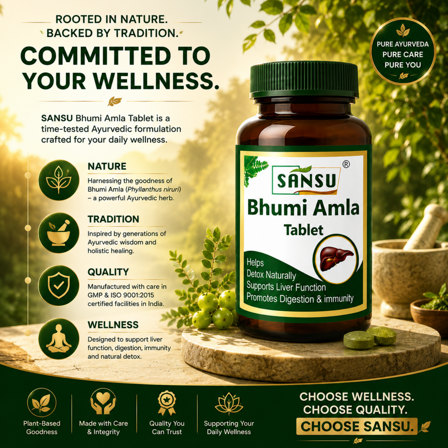 Bhumi amla tablet