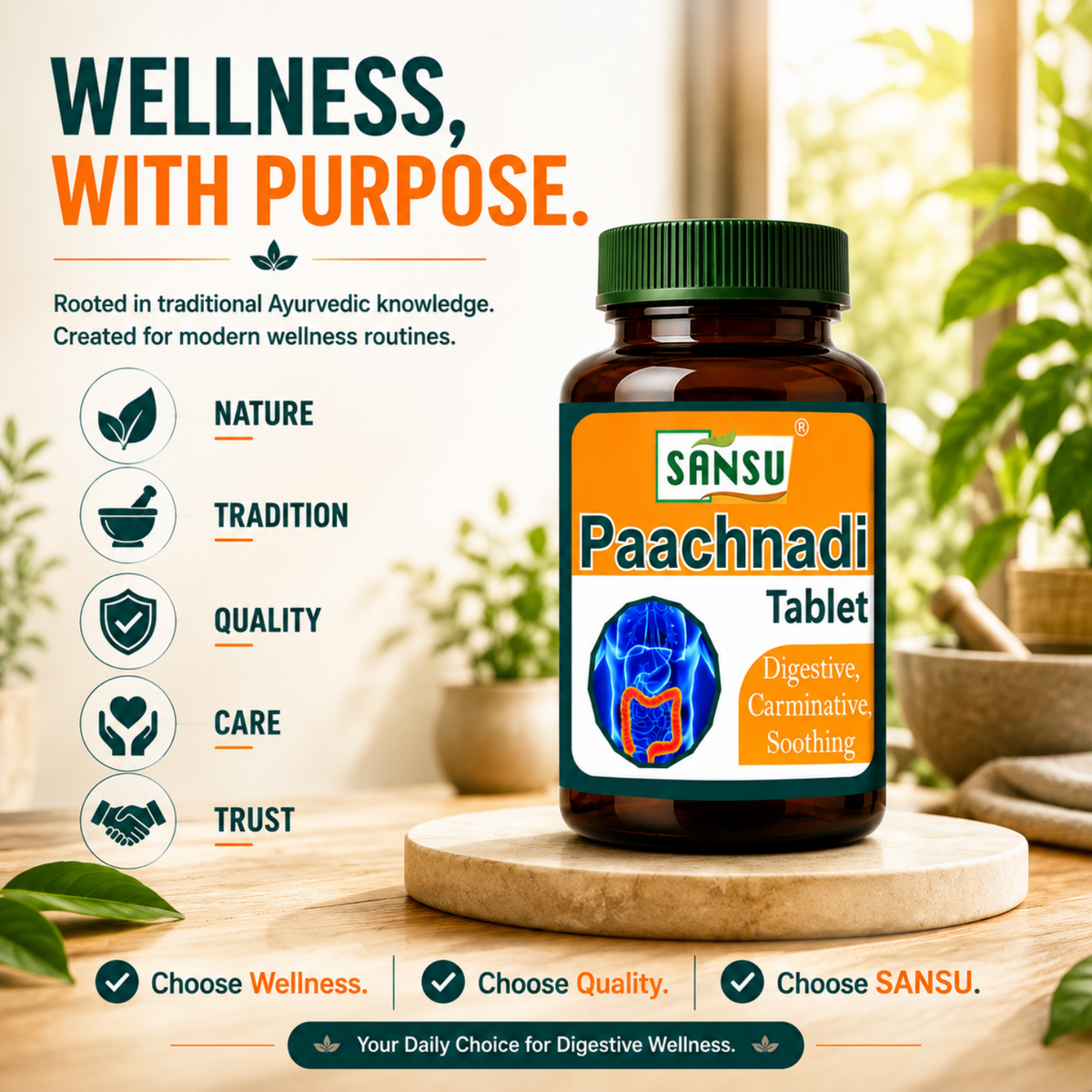 Sanus Paachnadi Tablet (60Tab)