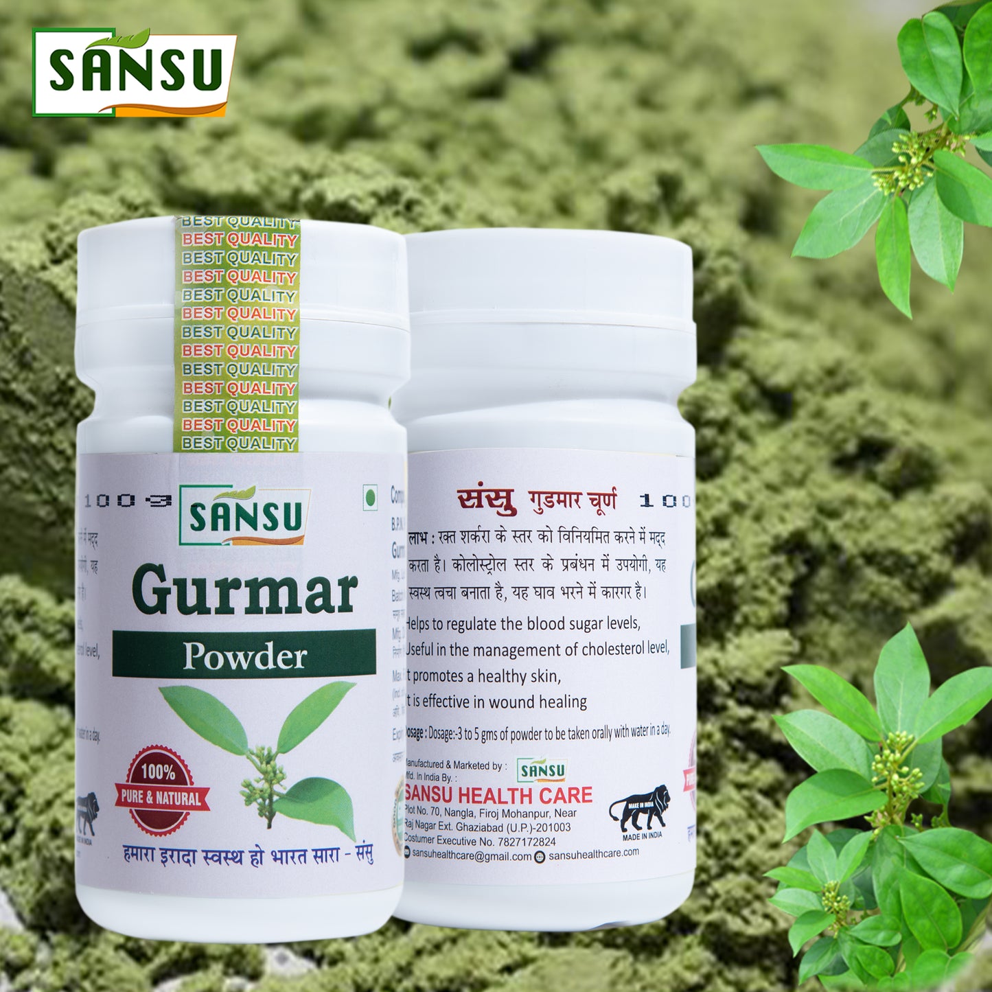 SANSU Gurmar Powder (100 GM)