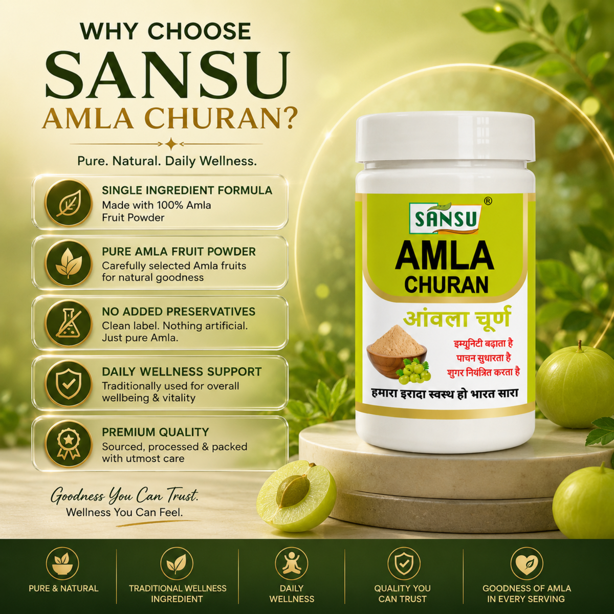Sansu Amla Powder 100 GM (Pack Of 2)