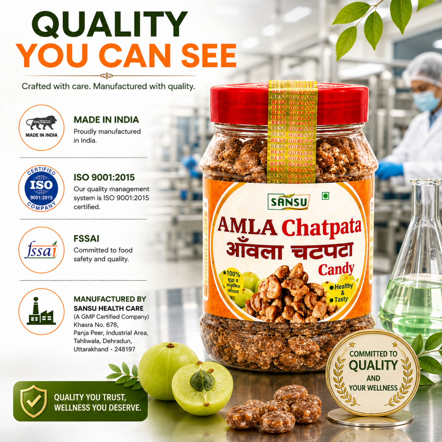 Sansu Chatpata Amla Candy (Salted & Spicy Indian Gooseberry) -Rich in Vitamin C - Boosts Immunity and Digestion 200 gm (Pack of 2)