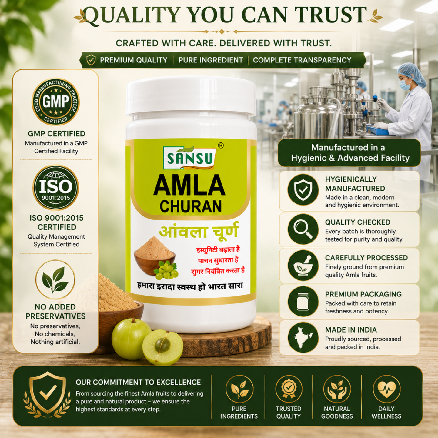 Sansu Amla Powder 100 GM (Pack Of 2)