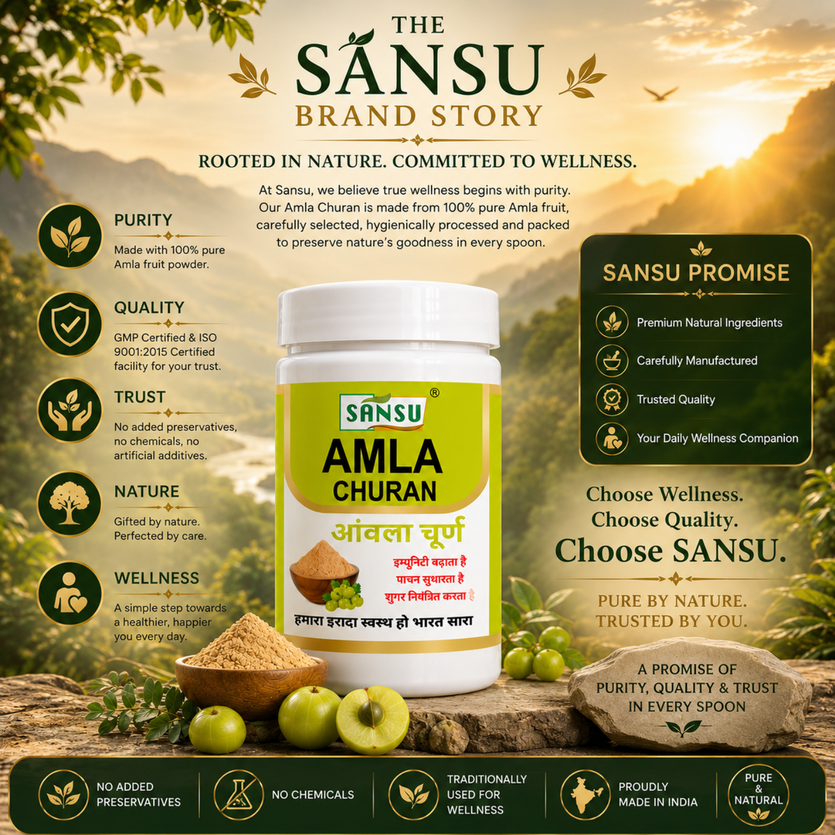 Sansu Amla Powder 100 GM (Pack Of 2)