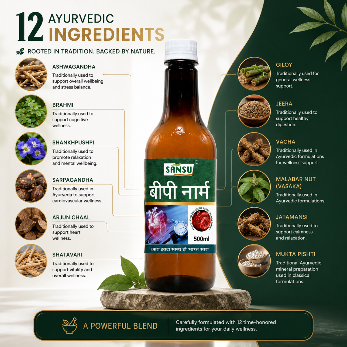 BP Norm 500ml