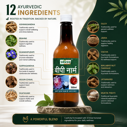 BP Norm 500ml