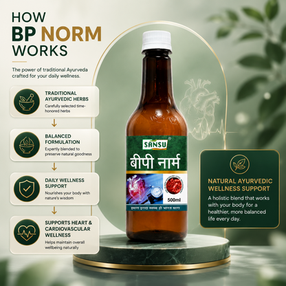 BP Norm 500ml