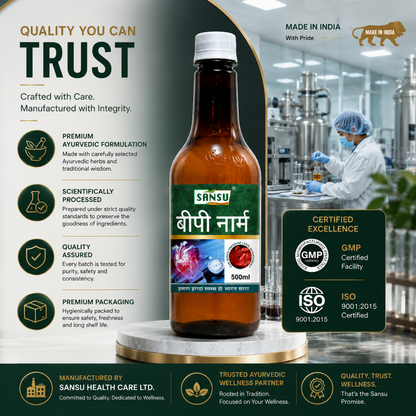 BP Norm 500ml