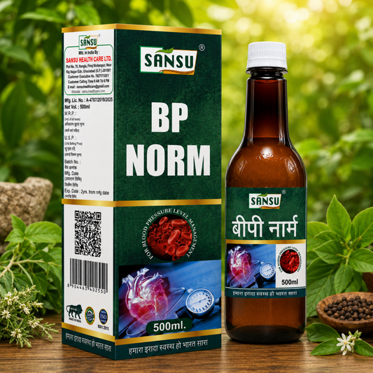 BP Norm 500ml