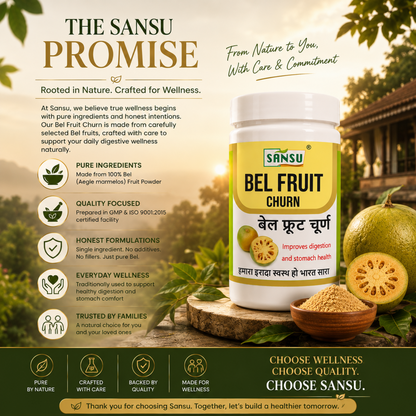 Sansu Bel Fruit Churan 100gm (Pack of 2)