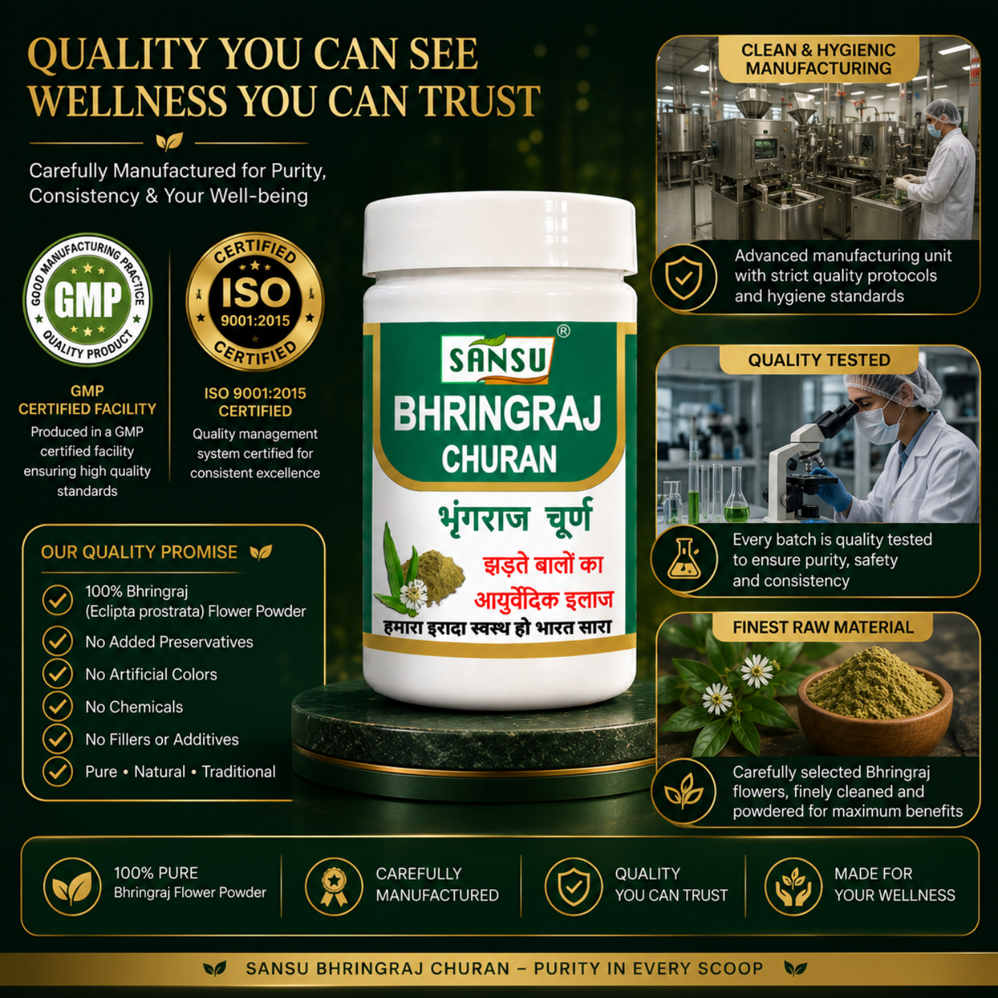 Sansu BhringRaj Churn 100Gm (Pack of 2)
