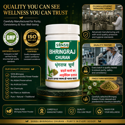 Sansu BhringRaj Churn 100Gm (Pack of 2)