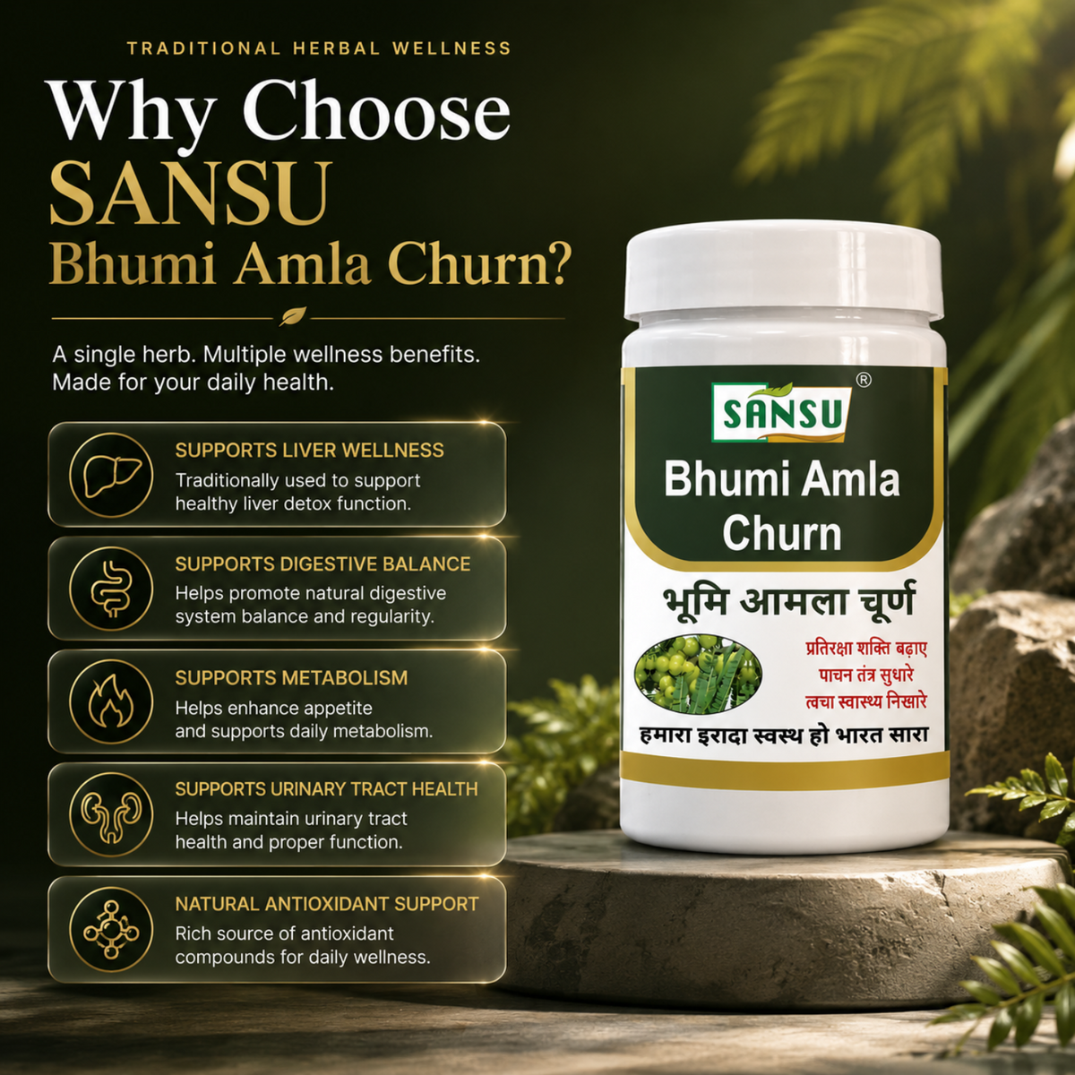 Sansu Bhumi Amla Churn 100gm (Pack Of 2)