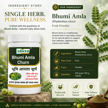 Sansu Bhumi Amla Churn 100gm (Pack Of 2)