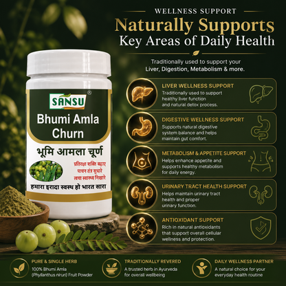 Sansu Bhumi Amla Churn 100gm (Pack Of 2)