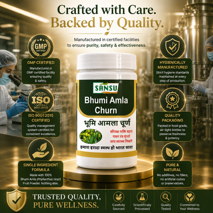 Sansu Bhumi Amla Churn 100gm (Pack Of 2)