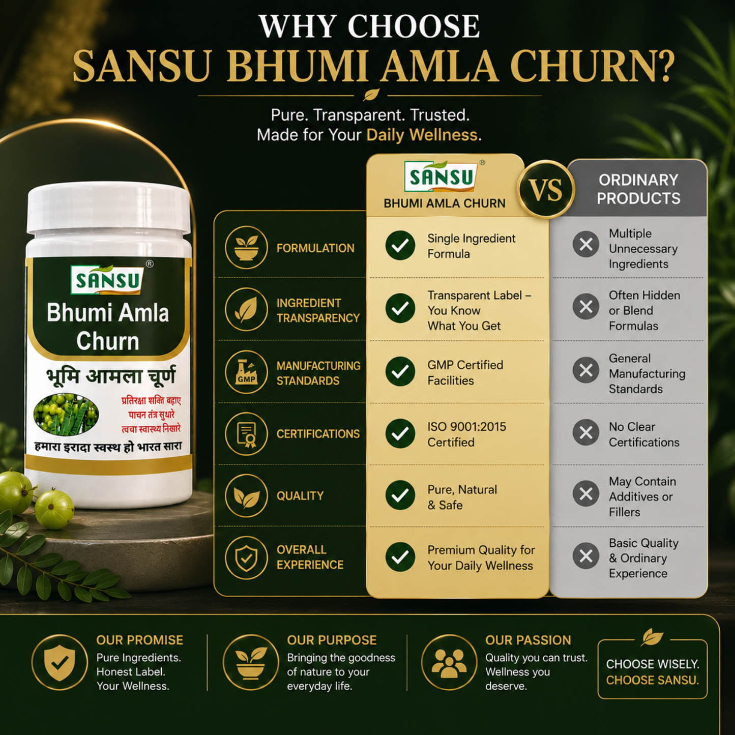 Sansu Bhumi Amla Churn 100gm (Pack Of 2)