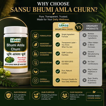 Sansu Bhumi Amla Churn 100gm (Pack Of 2)