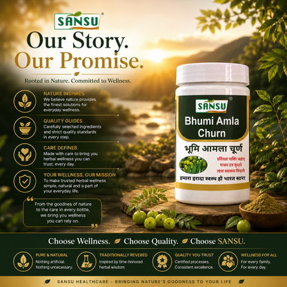 Sansu Bhumi Amla Churn 100gm (Pack Of 2)