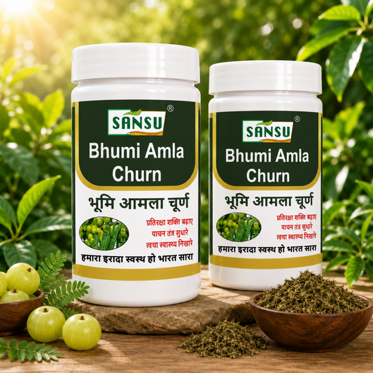Sansu Bhumi Amla Churn 100gm (Pack Of 2)