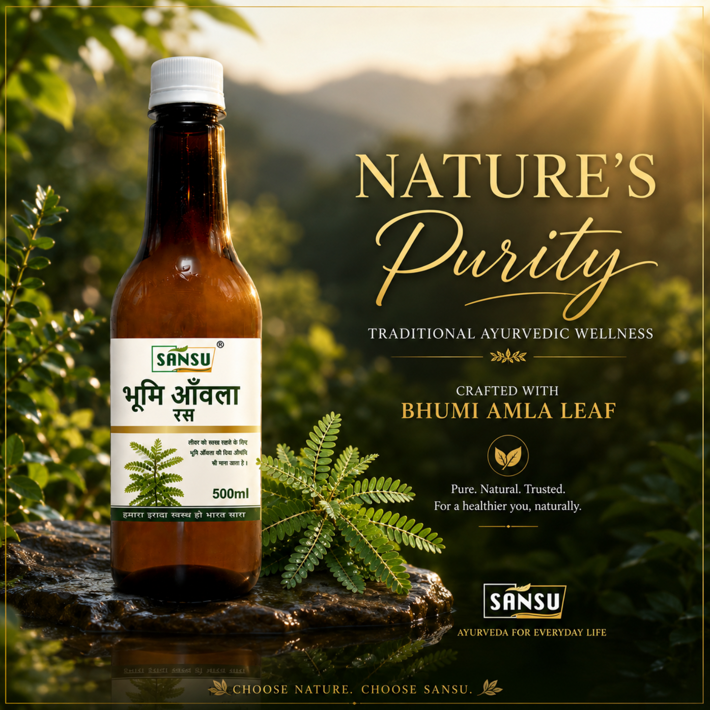 Sansu Bhumi Amla Juice 500 ml