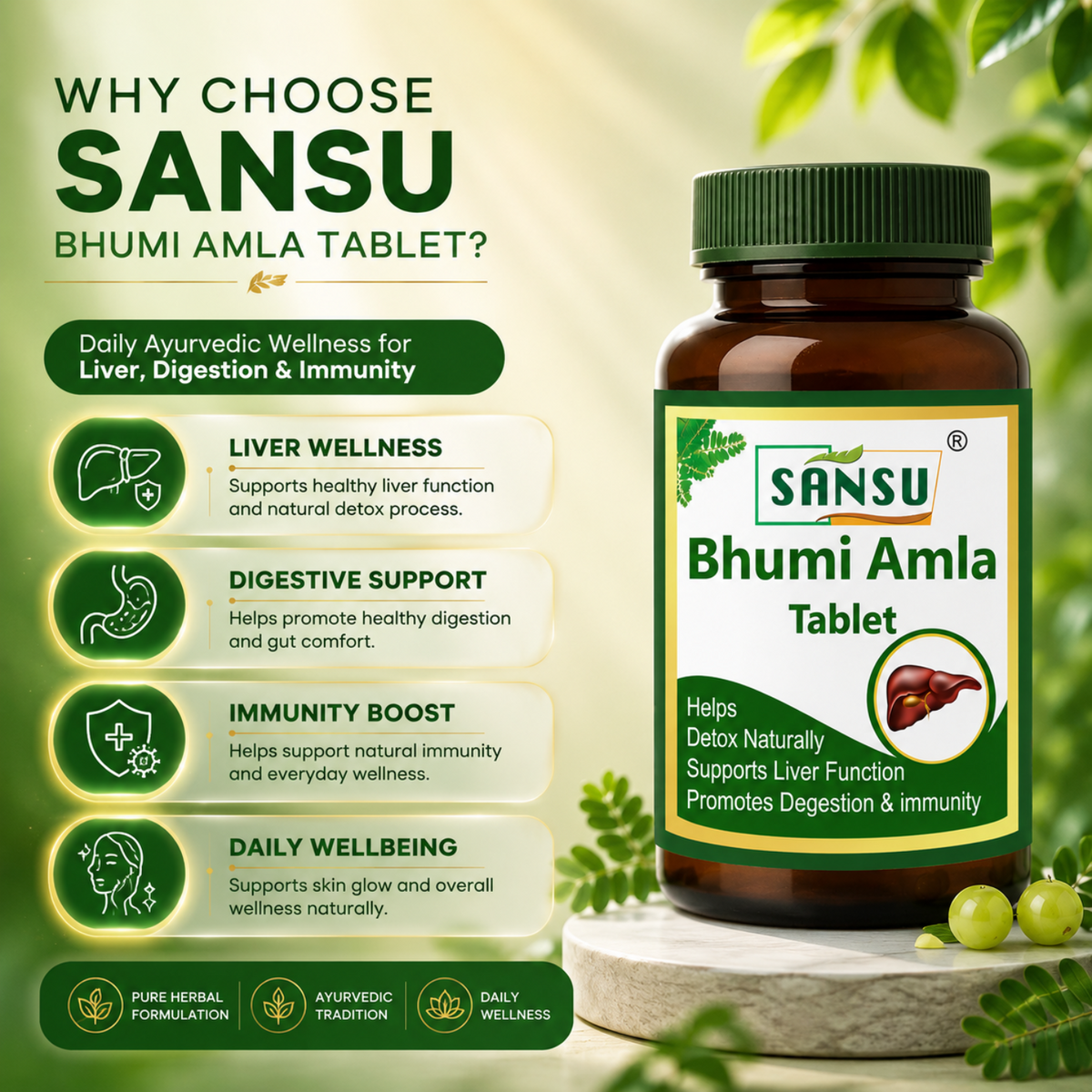 Bhumi amla tablet