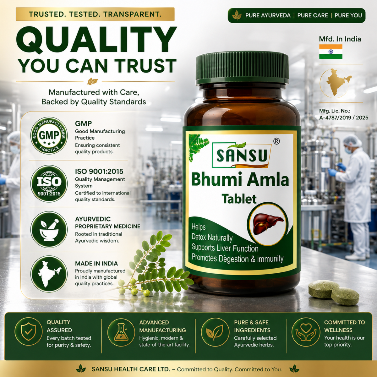 Bhumi amla tablet