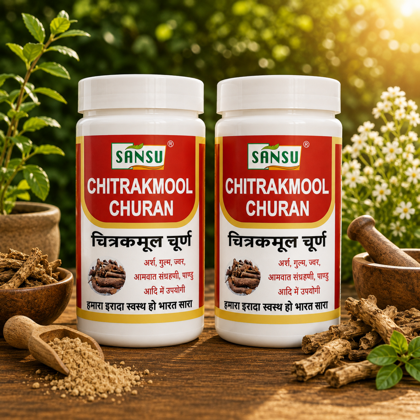 Sansu Chitrakmool Churan 100 gm (Pack of 2)