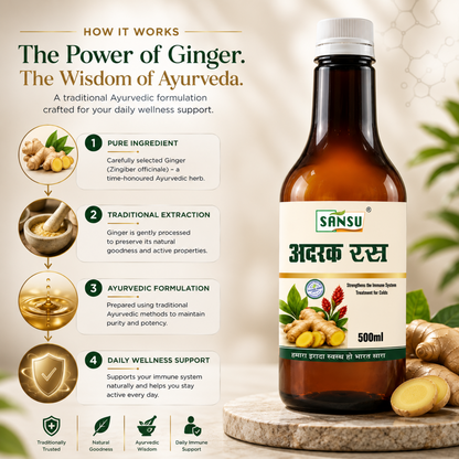 Sansu Ginger Juice (500 ml)