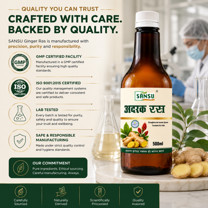 Sansu Ginger Juice (500 ml)