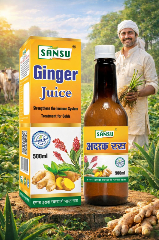 SANSU GINGER JUICE (500ml)