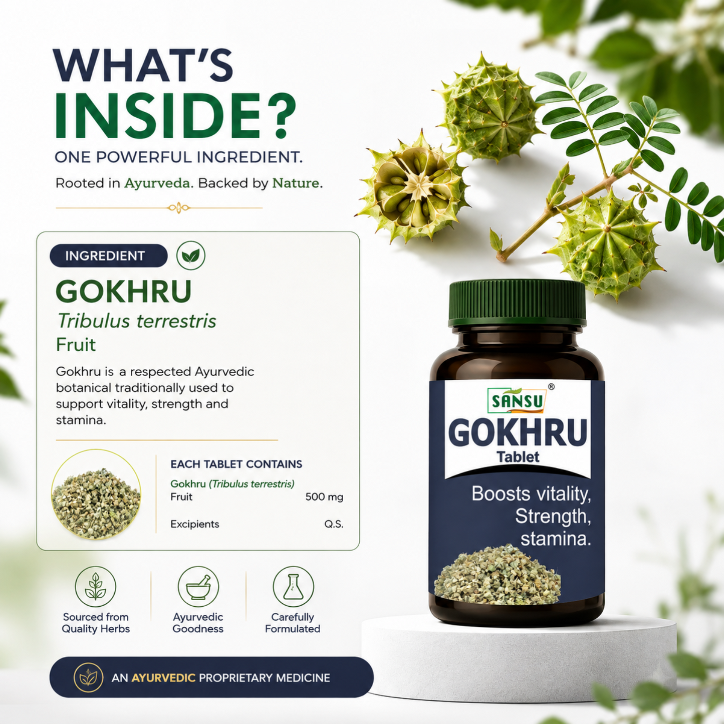 Sansu Gokhru Tablet  (60 Tablets)