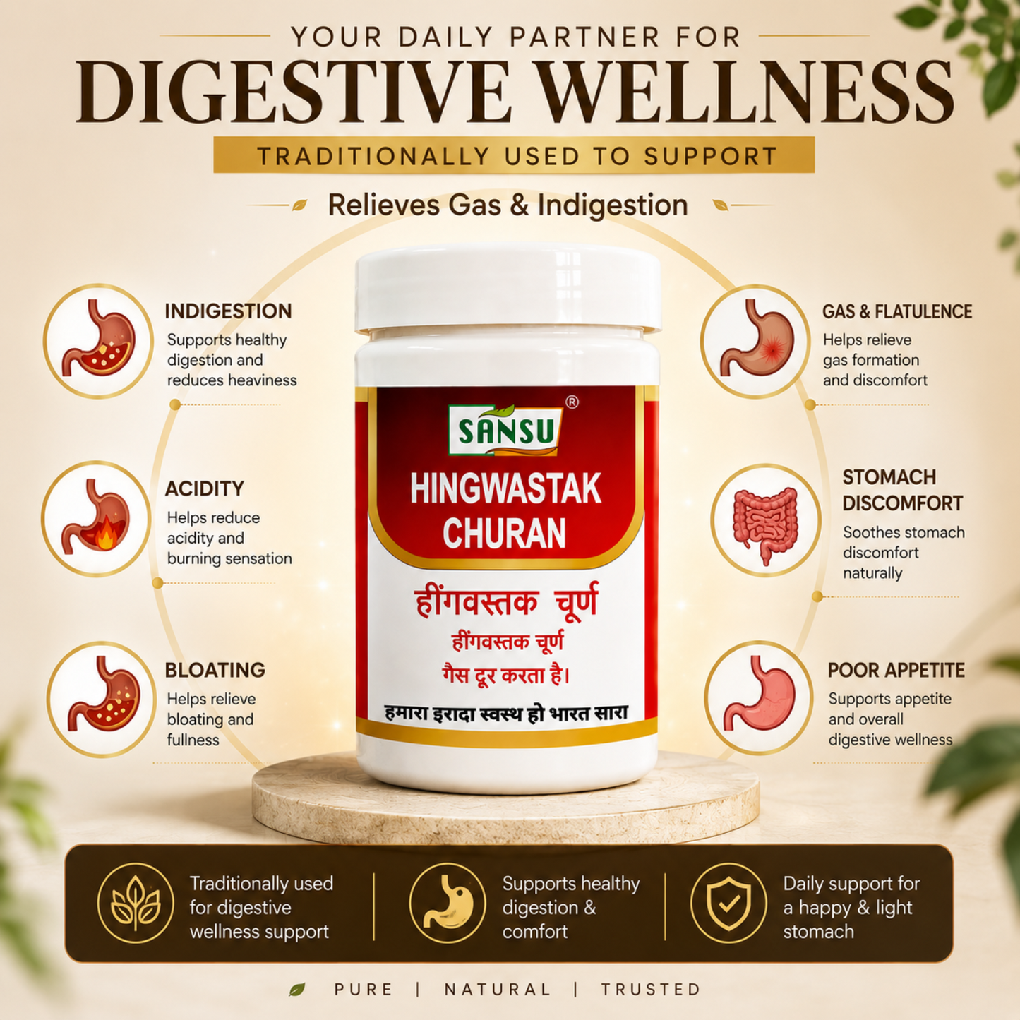 Sansu Hingwashtak churan 100gm (Pack of 2)