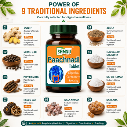 Sanus Paachnadi Tablet (60Tab)