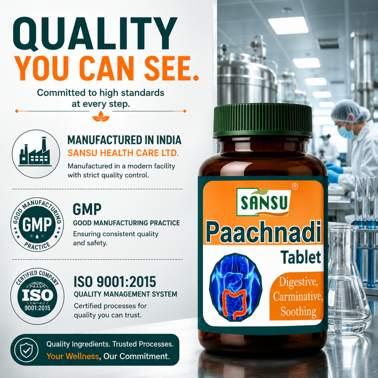 Sanus Paachnadi Tablet (60Tab)
