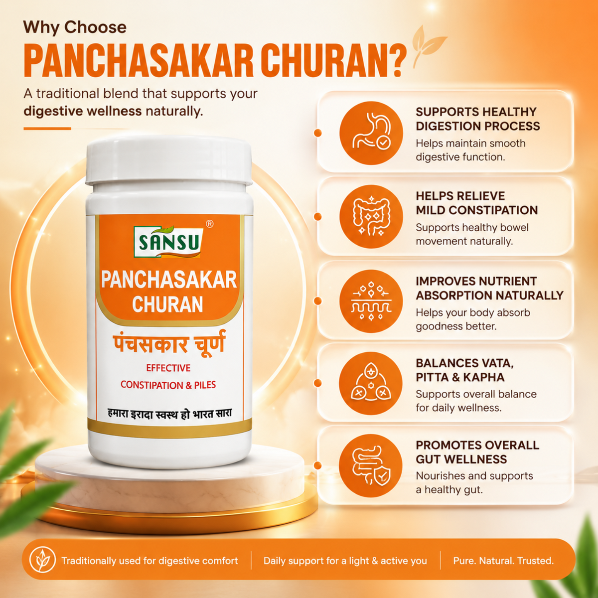 Sansu Panchasakar Churan 100 gm (Pack of 2)