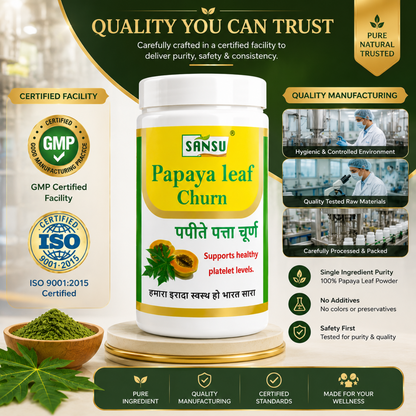 Sansu Papaya Leaf Churan 100 gm (Pack Of 2)