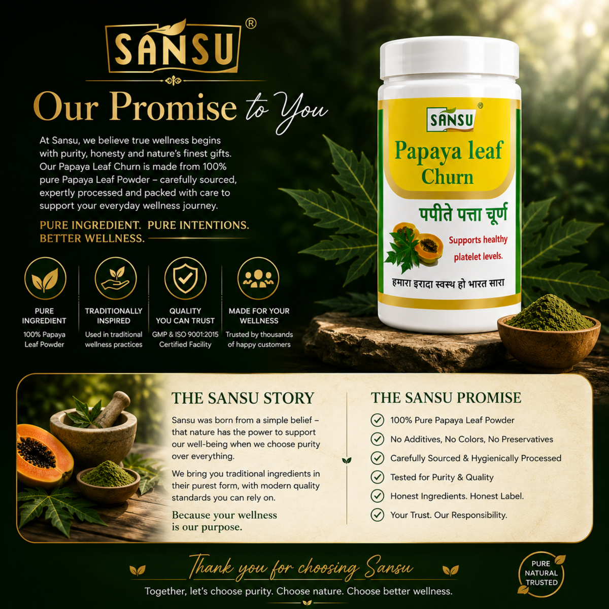Sansu Papaya Leaf Churan 100 gm (Pack Of 2)