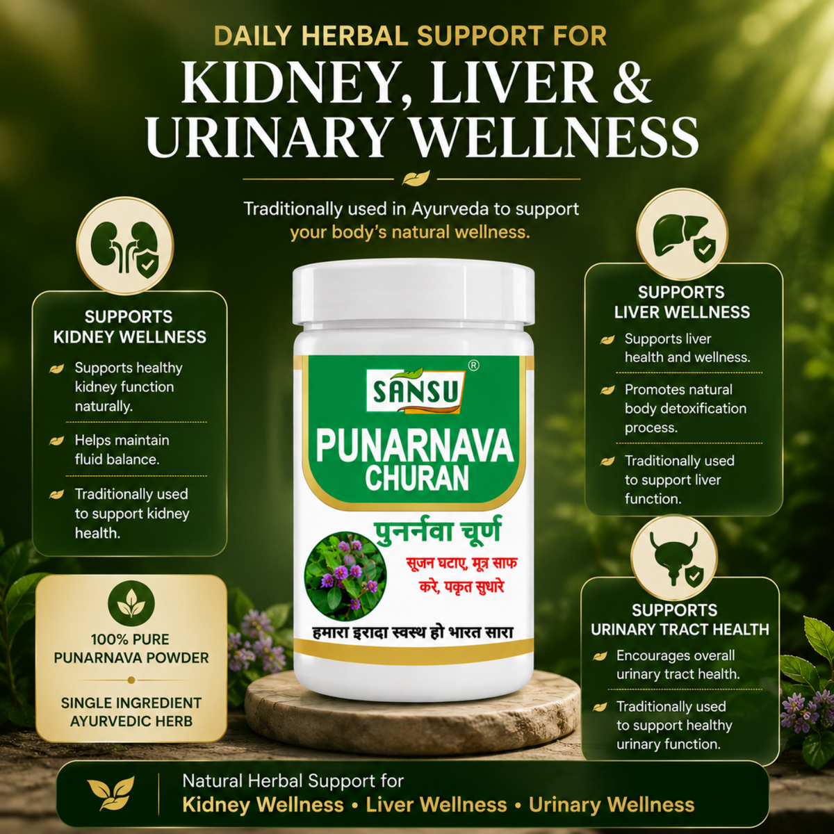 Sansu Punarnava Churan 100Gm (Pack Of 2)