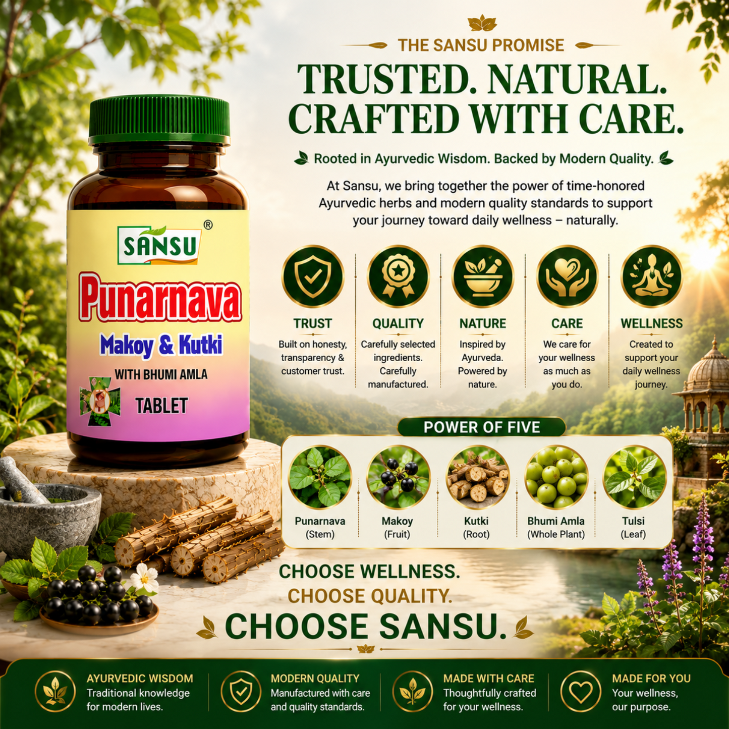 Sansu Punarnava Makoy Kutki With Bhumi Amla tablet (60Tab)