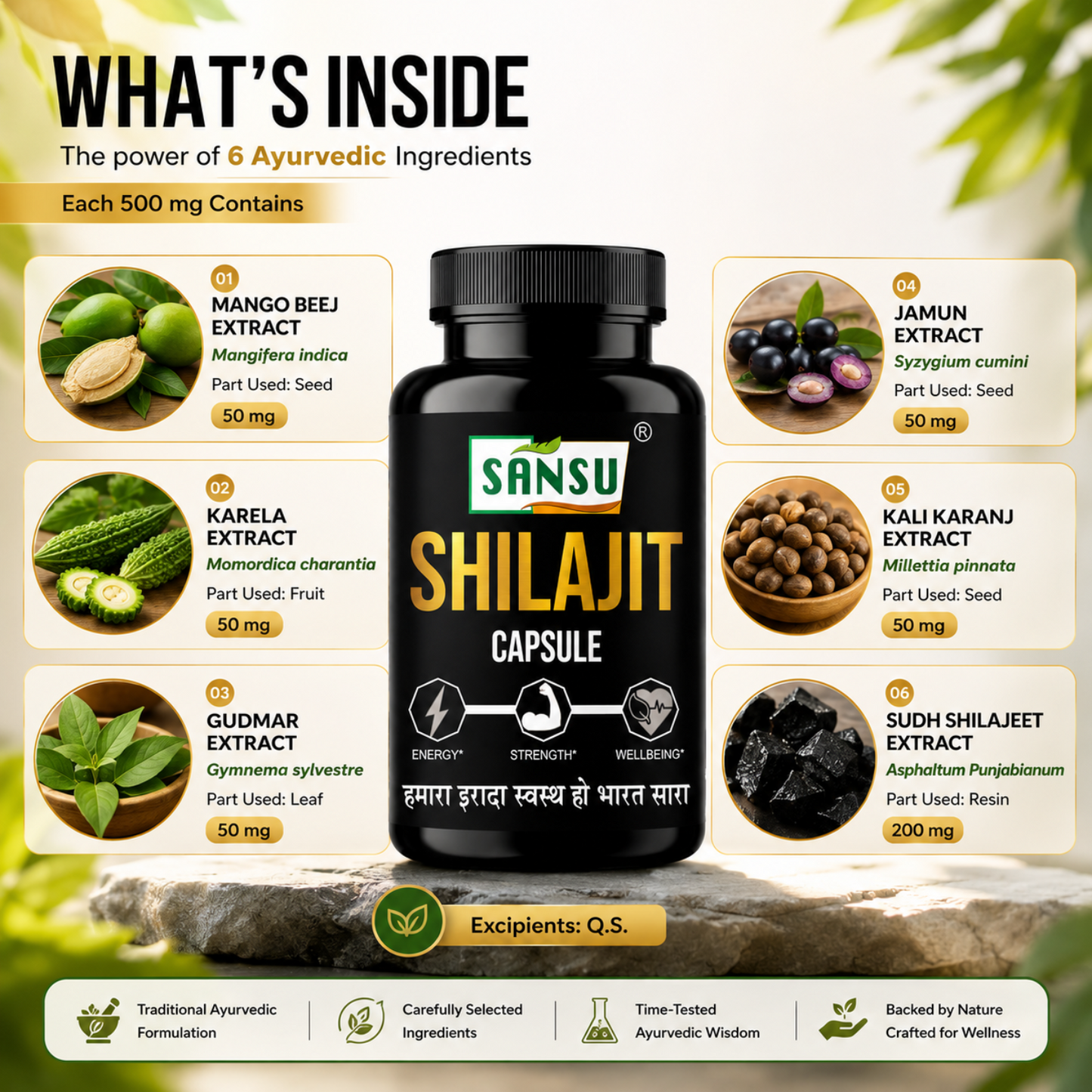 Sansu Shilajit Capsule