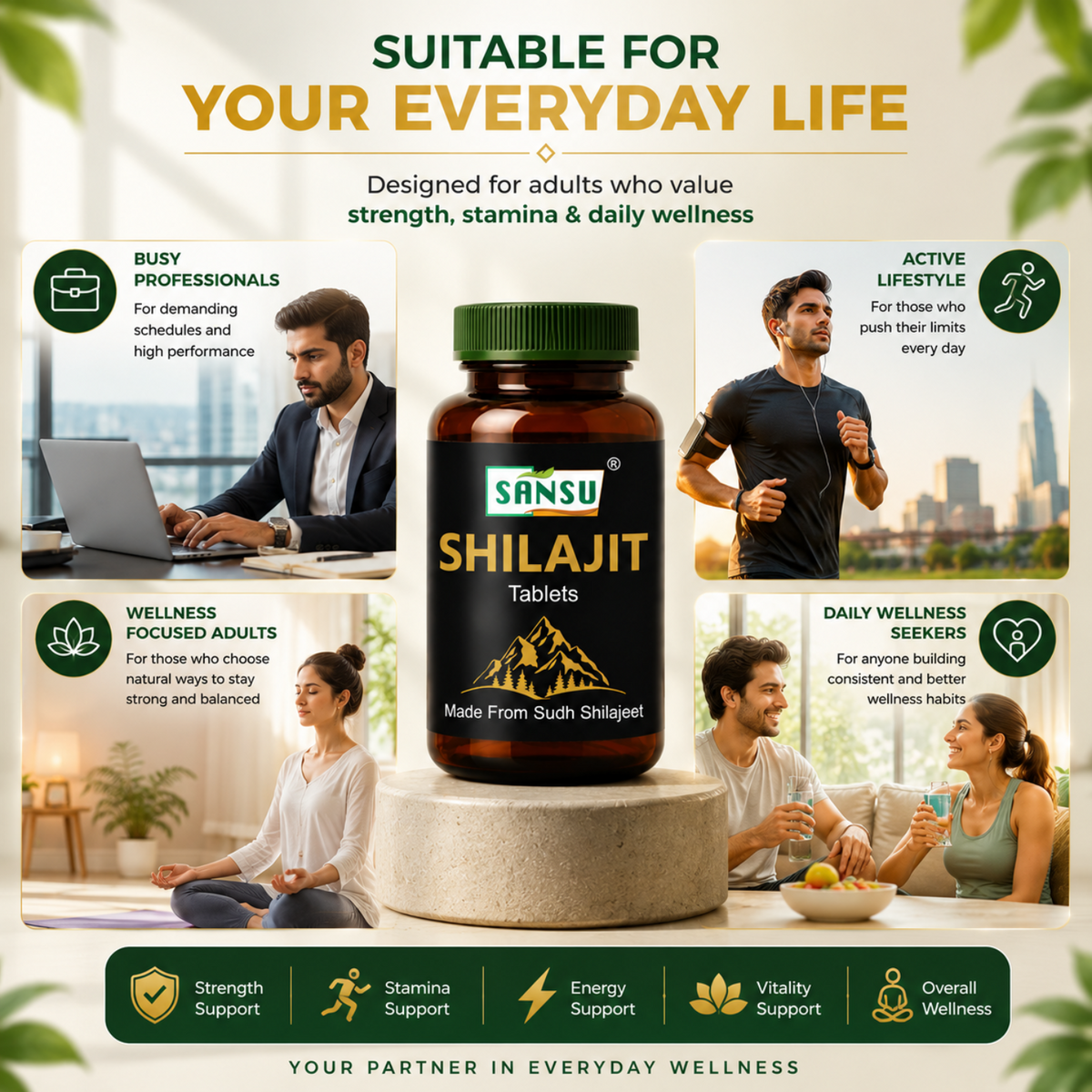Sansu Shilajit Tablet (30 Tab)
