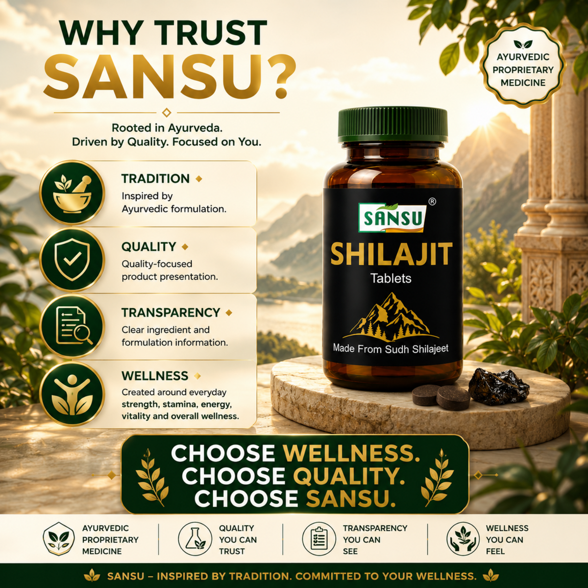 Sansu Shilajit Tablet (30 Tab)
