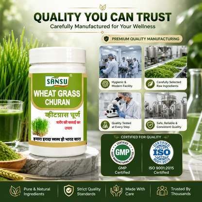 Sansu Wheat Grass Churan 100 Gm (Pack of 2)