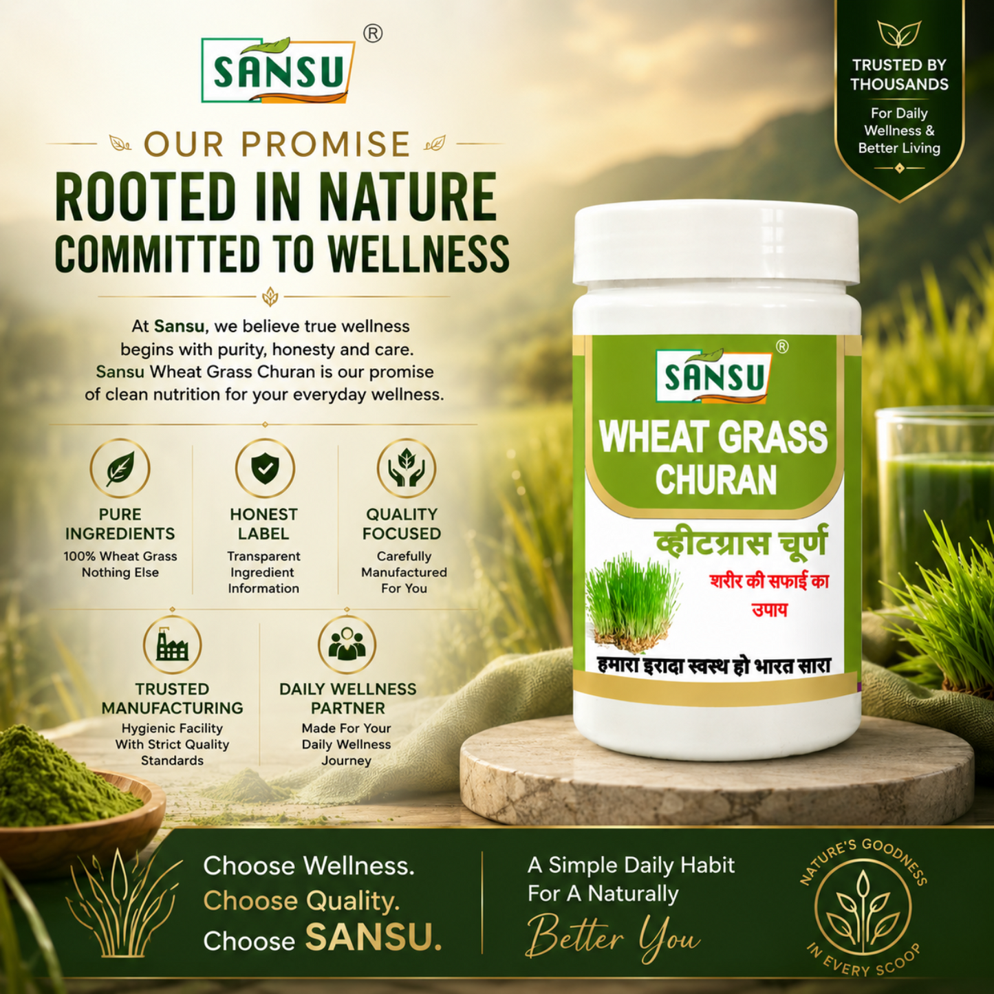 Sansu Wheat Grass Churan 100 Gm (Pack of 2)