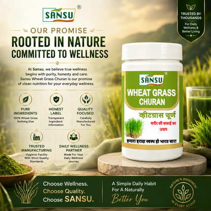 Sansu Wheat Grass Churan 100 Gm (Pack of 2)