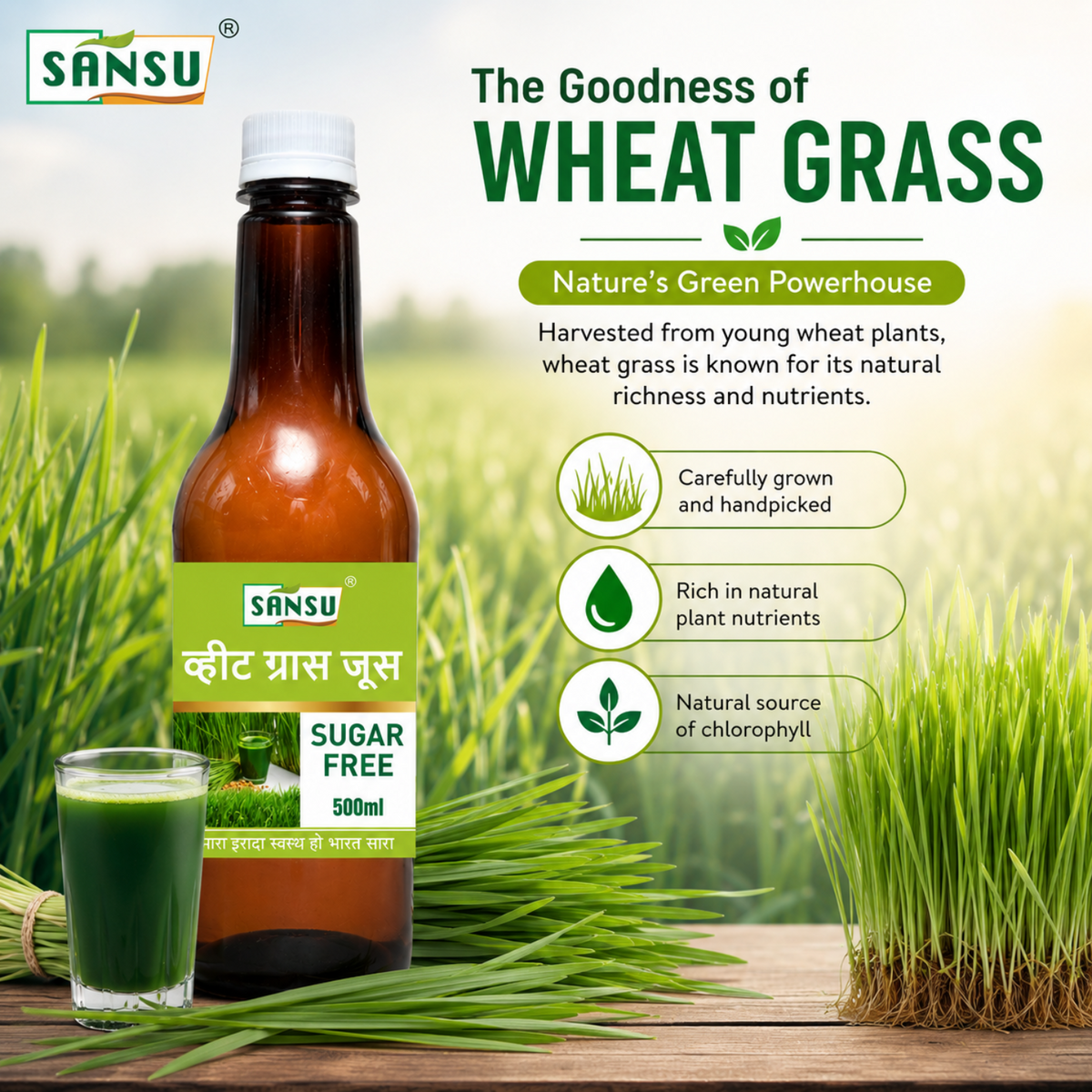 Sansu Wheat Grass Juice | Good For Immunity | 100% Natural (500 ml)